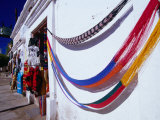 Hammocks for Sale in a Curio Shop on the Mulega Waterfront, Mulege, Mexico Photographic Print by Brent Winebrenner