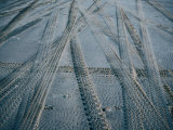 4Wd Tracks on Sand, Fraser Island, Queensland, Australia Photographie par Tony Wheeler