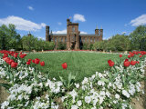 Smithsonian Institution Building, Washington, D.C., USA Photographic Print
