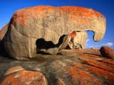 Granite Corestones Covered in Orange Lichen Flinders Chase National Park, Kangaroo Island, Australi Lámina fotográfica por Barnett Ross