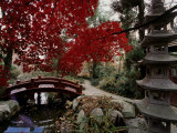 Japanese Garden Hillwood Museum and Gardens, Washington, D.C. USA Photographic Print