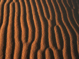 Patterns in Desert Sand, Merzouga and the Dunes, Morocco Photographic Print by Frances Linzee Gordon