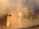 Dusty Cattle Muster, Cape York Peninsula, Australia Lámina fotográfica por Oliver Strewe Dusty Cattle Muster, Cape York Peninsula, Australia Lámina fotográfica por Oliver Strewe