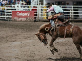 Calgary Stampede, Stampede Park, Calgary, Alberta, Canada Photographic Print
