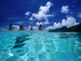 Four Women Paddling Outrigger Canoe on Lagoon at Haapiti, Moorea, the French Polynesia Photographic Print by Paul Kennedy