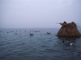 Camouflaged Hunter Shooting Ducks Photographic Print