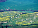 Classic Tuscan Scenery on Outskirts of Historic Town of Pienza, Pienza, Italy Photographie par Glenn Beanland