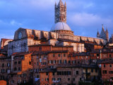 View Across Rooftops to the Gothic Cathedral, Siena, Tuscany, Italy Photographie par Glenn Beanland