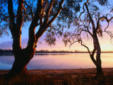 Trees on Edge of Lake Mournpoul, Hattah-Kulkyne National Park, Australia Photographic Print by Paul Sinclair