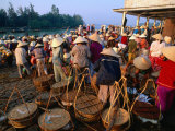 Crowds of People with Baskets at Early Morning Fish Market, Hoi An, Quang Nam, Vietnam Photographic Print by Anders Blomqvist