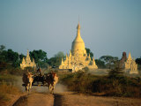 Cow-Drawn Cart in Front of Stupas, Bagan, Mandalay, Myanmar (Burma) Photographic Print by Bernard Napthine