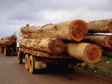 Logging Trucks on Road, Bolaven Plateau, Laos Photographie par Woods Wheatcroft