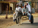 Men on Donkey Cart in Siwa, Egypt Lámina fotográfica por Juliet Coombe