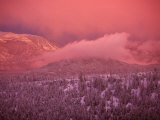 Lake Tahoe at Sunset with Snow, California Photographic Print by Wayne Hoy