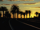 Sunset on Tram Tracks of St. Kilda Esplanade, Melbourne, Australia Photographic Print by John Banagan