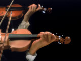 Violonistes Photographie
