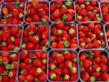 Strawberries for Sale, Bergen, Norway Photographic Print by Anders Blomqvist