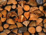 Chopped Wood for Winter, Zermatt, Switzerland Lámina fotográfica por Chris Mellor