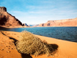 Dungeon Canyon, Lake Powell Photographic Print by James Denk