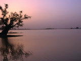 Dusk Over Lake Chad, Niger Fotografisk tryk af Oliver Strewe