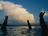 Three Pairs of Legs Stick out of the Water in Lake Mcconaughy Impressão fotográfica por Joel Sartore Three Pairs of Legs Stick out of the Water in Lake Mcconaughy Impressão fotográfica por Joel Sartore