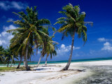 Beach and Lagoon, French Polynesia Photographie par Jean-Bernard Carillet