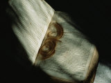 Lock of Hair in a Family Bible Photographic Print by Michael S. Lewis