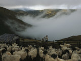 A Shepherd Tends His Flock in the Mountain Summer Pastures Photographic Print by Randy Olson
