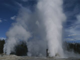 Giant Geyser, Feather and Feather Satellite Vents, at Yellowstone Photographic Print by Norbert Rosing