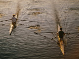 Two rowers paddle down the Charles River in the morning sunlight Lámina fotográfica
