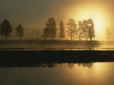 Silhouetted trees along the Yellowstone River at sunrise Lámina fotográfica por Tom Murphy Silhouetted trees along the Yellowstone River at sunrise Lámina fotográfica por Tom Murphy