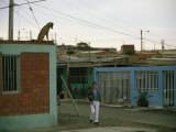 A dog watches passersby from the roof of an Arica house Lámina fotográfica por Joel Sartore A dog watches passersby from the roof of an Arica house Lámina fotográfica por Joel Sartore