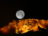 Moonrise over an Illuminated Ridge Photographic Print by Richard Nowitz