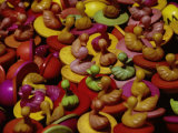 Colorful Floating Plastic Ducks in a Pool Photographic Print by Bill Curtsinger