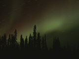 The Aurora Borealis Puts on a Light Show Above the Mackenzie River Photographic Print by Raymond Gehman