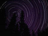 Star Streaks Above Silhouetted Trees Fotografie-Druck von Michael Nichols
