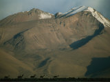 A Herd of Llamas Silhouetted against the Towering Andes Mountains Photographic Print by Joel Sartore