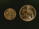 Indigenous Wildlife Adorns South Africas Coinage Photographic Print by Tino Soriano