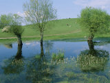 Marshy Area Near the Lejre Open-Air Museum Photographic Print by Sisse Brimberg