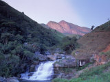 Serra Do Frade Rain Forest, Atlantic Wood, Brazil Photographic Print by Silvestre Machado