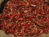 A Burlap Bag Full of Red Hot Peppers Photographic Print by James P. Blair