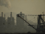 Birds Roost on the Riggings of a Crane Near Belching Smokestacks Photographic Print by Joel Sartore