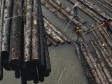 Three Men Push Floating Logs into Manageable Bundles Photographic Print by Joel Sartore