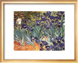 Irises, Saint-Remy, c.1889 Posters by Vincent van Gogh