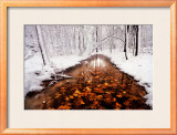 Autumn Passage Posters by Jim Brandenburg