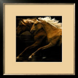 The Dance Prints by Tony Stromberg