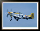 P-51 Mustang Art by Graham Collins