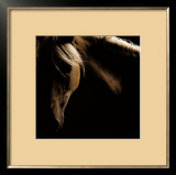 Spirit Horse Posters by Tony Stromberg