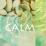 Reflections: Calm Prints by Jessica Vonammon
