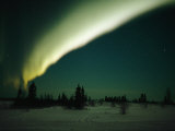 The Aurora Borealis Glows Brightly over Churchill Photographic Print by Norbert Rosing